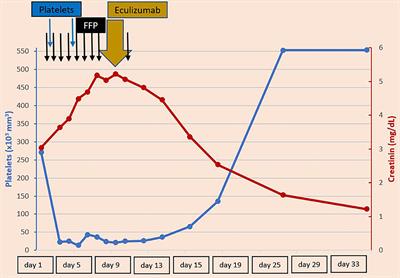 Case Report: Neonatal Unexplained HUS Treated With Complement Inhibitor Eculizumab